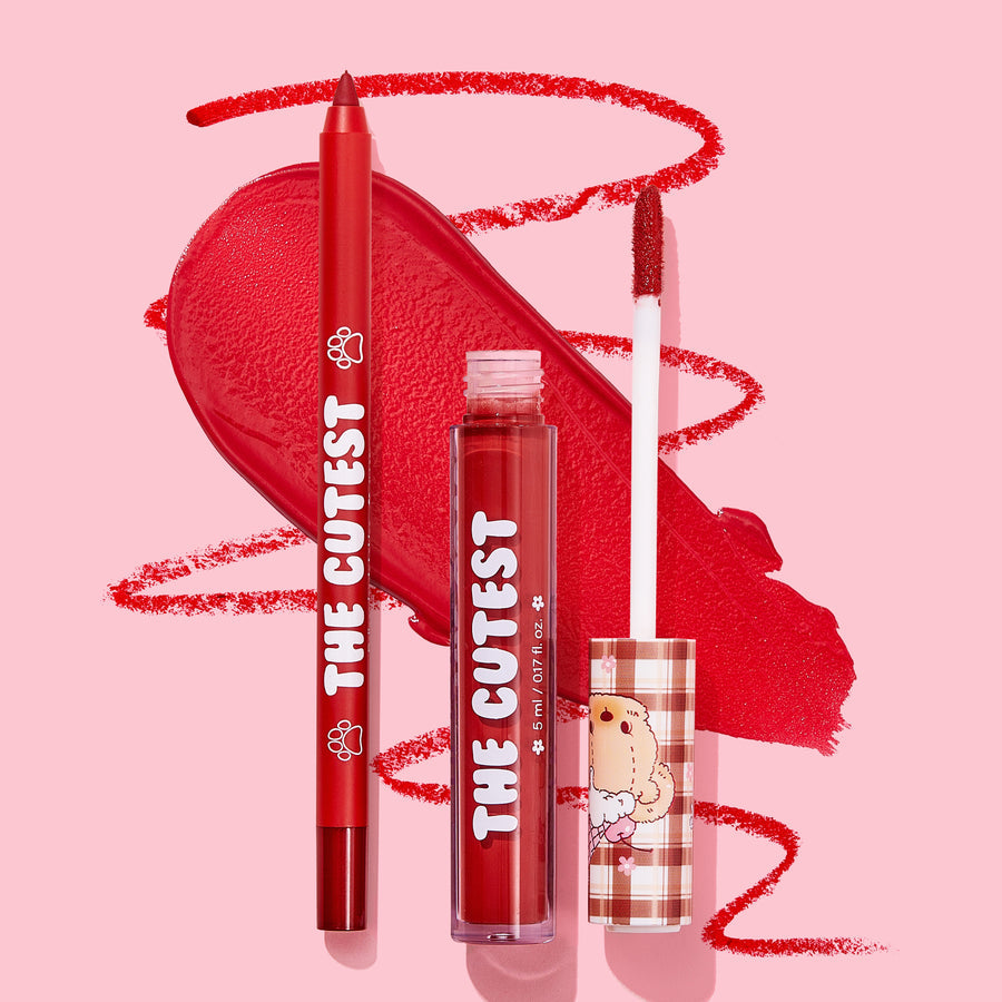 Set de labial y delineador de labios