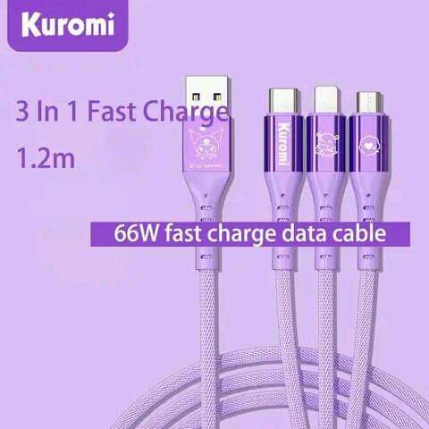 3 in 1 Fast Charge