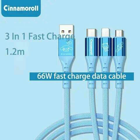 3 in 1 Fast Charge